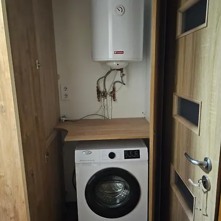 Letniskowy Zielony-caloroczny * Stegers