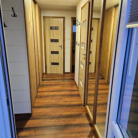 Letniskowy Zielony-caloroczny Stegers