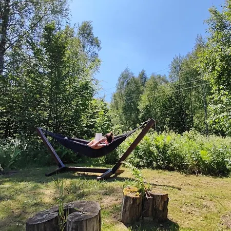 Letniskowy Zielony-caloroczny Stegers