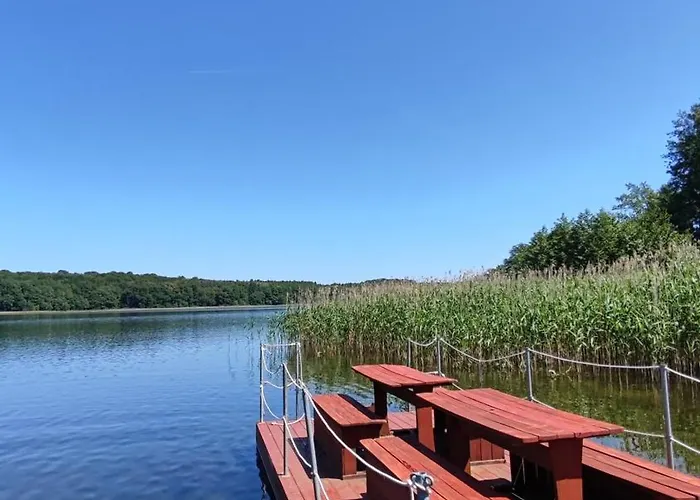 Letniskowy Zielony-całoroczny